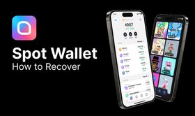 How to recover Spot Wallet?