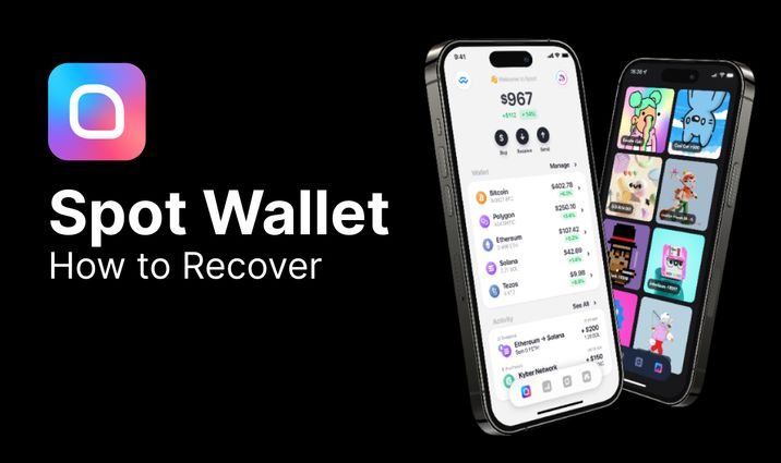 How to recover Spot Wallet?