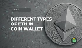 Why are there several different types of ETH in Coin Wallet?