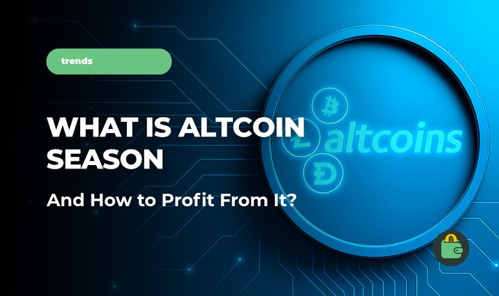What Is an Altcoin Season and How Can You Use It for Making Profit?