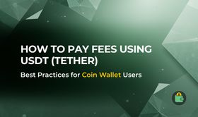 Why Can't You Pay Fees Using USDT