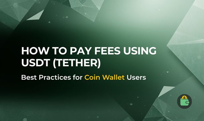 Why Can't You Pay Fees Using USDT