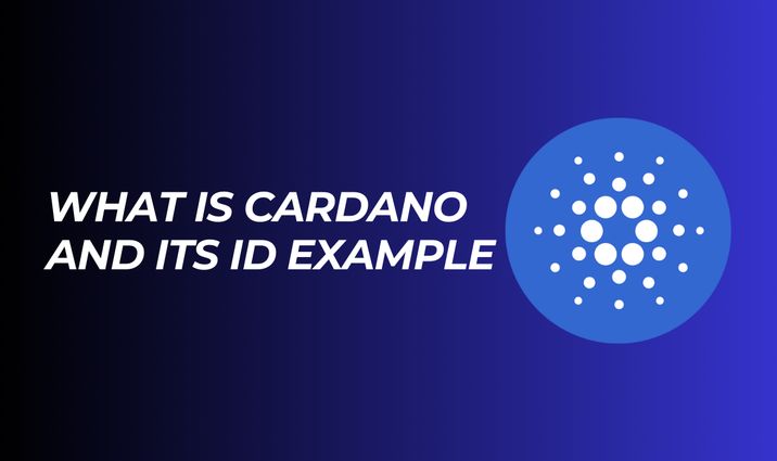 What is Cardano? A Closer Look at Cardano What is Cardano? A Closer Look at Cardano