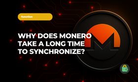 Why does it take Monero so long to sync?