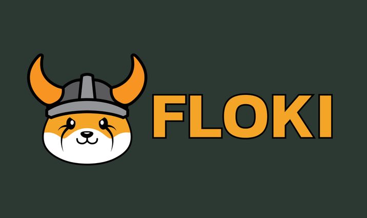 FLOKI token