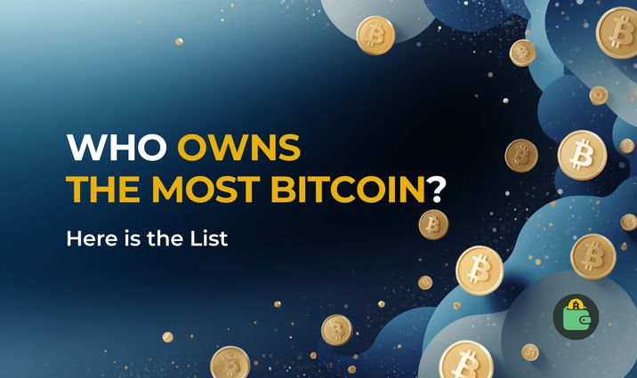 10 Richest Bitcoin Wallets 2026