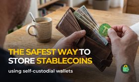 The safest ways to store stablecoins using self-custodial wallets