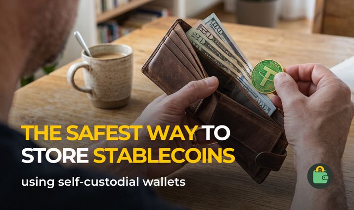 The safest ways to store stablecoins using self-custodial wallets The safest ways to store stablecoins using self-custodial wallets