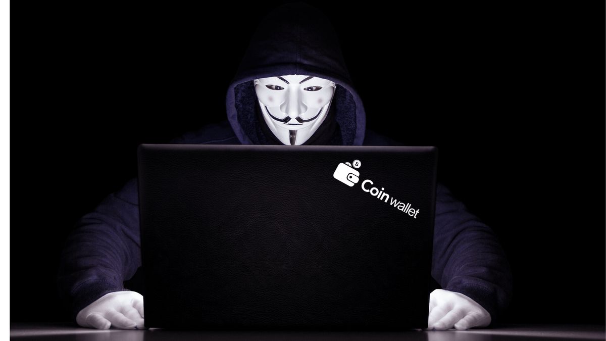 How To Protect Your Crypto, By an ExHacker Coin Wallet