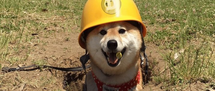 DogeCoin now on CoinSpace (DOGE)