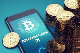 Bitcoin Cash has been switched to CashAddr format