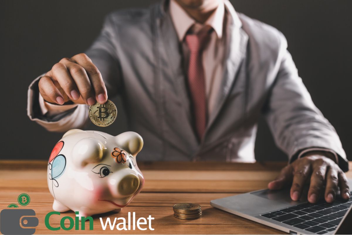 Simple Steps To Use a Solo 401(K) Plan To Buy Cryptocurrency | Coin Wallet