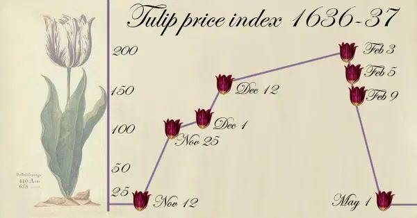 The Tulip mania