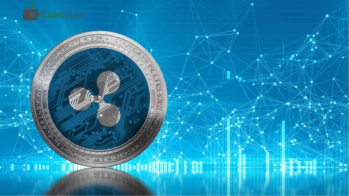 A Guide to Ripple XRP | Coin Wallet