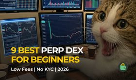 9 Best PERP DEX for Beginners 2026: How to Choose the Right