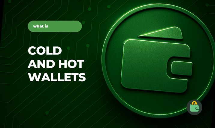 Cold and Hot Wallets: How to Make a Choice Cold and Hot Wallets: How to Make a Choice