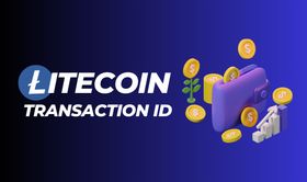 How to Use a Litecoin Transaction ID to Track Payments