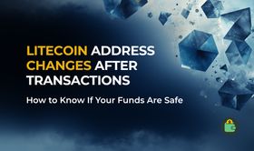 How to Use the LTC Address Checker