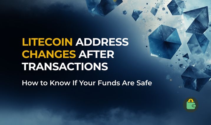 How to Use the LTC Address Checker